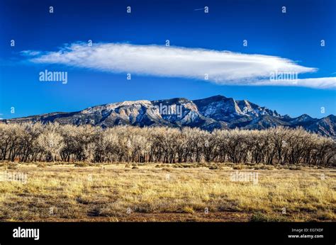 View Of The Sandia Mountains And Tree Line Outside Albuquerque New