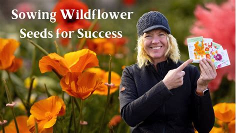 Sowing Wildflower Seeds With Success Youtube