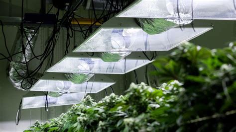 How To Cool Grow Tent A Full Guide