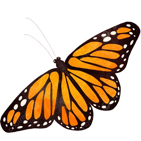 Blue Monarch Butterfly Clipart Transparent Background Watercolor