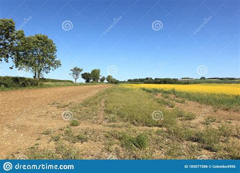 A Dry Conservation Strip In The Colourful Summer Farmland Of The Scenic