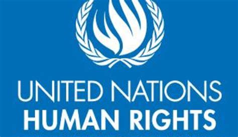 الجمهورية مفوضة الأمم المتحدة لحقوق الإنسان كوفيد 19 كشف شروخ مجتمعاتنا