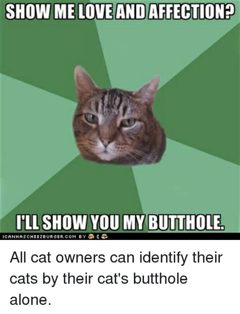 Why Do Cats Show Their Buttholes Captions Trendy