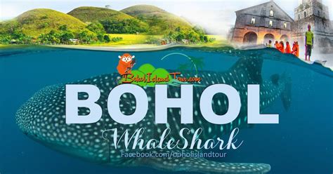 Bohol Countryside Tour And Whaleshark Watching ~ Bohol Island Tour Wow Bohol Package Tours And