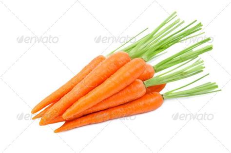 Carrots by Aleks_Sg. Carrots. Isolated on a white background#Aleks_Sg, #Carrots, #Isolated, # ...