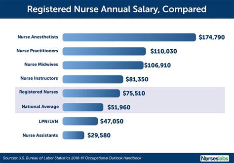 A Graph Showing The Cost Of Nursing Care For Nurses