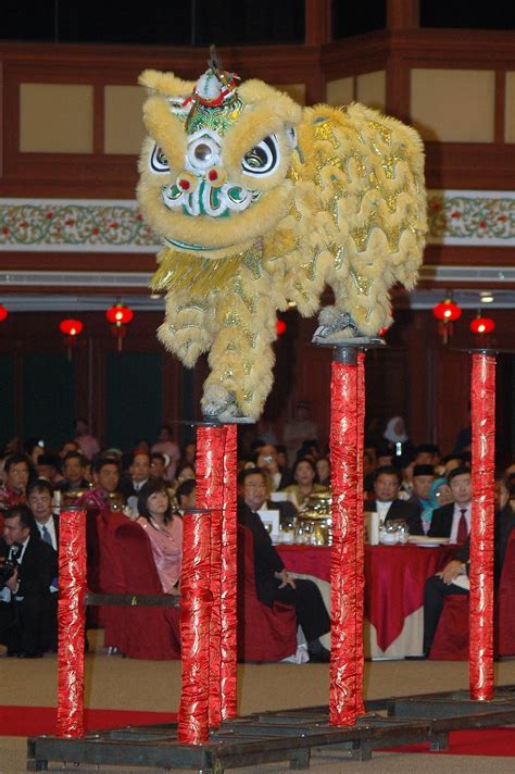 Gong xi is a cat who loves life! Gong Xi Fa Cai