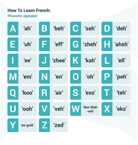 Basic French Words For Beginners