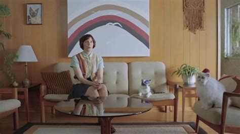 Sombreros, berets, top hats, bowler hats, archer hats, floral hats, captain hats, cowboy hats. GoDaddy TV Commercial, 'Cats With Hats' - iSpot.tv