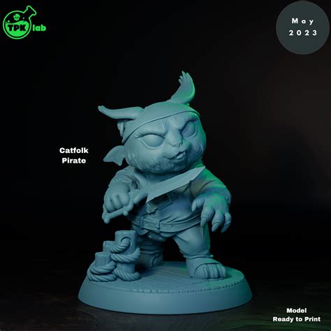 3d File Catfolk Pirate・3d Printing Model To Download・cults