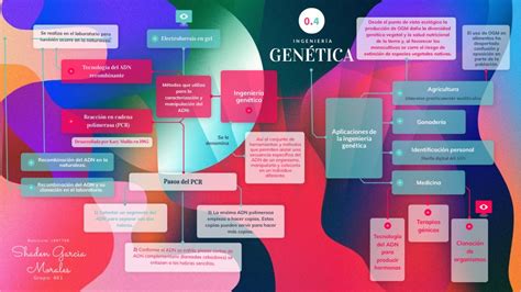 Mapa Conceptual De La Ingenieria Genetica Y Sus Aplicaciones Cingu Porn Sex Picture