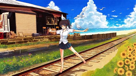 Hd Wallpaper Birds Railroad Tracks Seagulls Anime Anime Girls