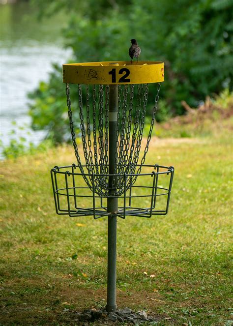 Thrilling And Exciting Three Reasons To Try Frisbee Golf Power