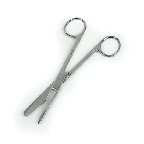 Scissors Surgical Sharpblunt Points Straight Blades 55