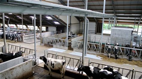 Bles Dairies Farm Youtube