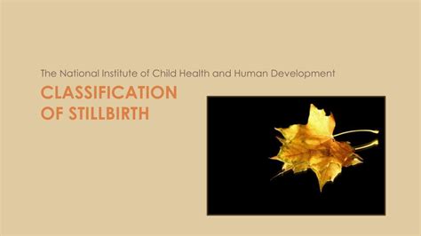 Ppt Evaluation Of Stillbirth Powerpoint Presentation Free Download