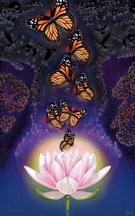 Pin By Shelia Cannon On All Kinds Of Butterflies Spiritual Art