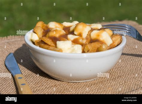 Classic Quebec Poutine With French Fries Gravy And Cheese Curds Stock
