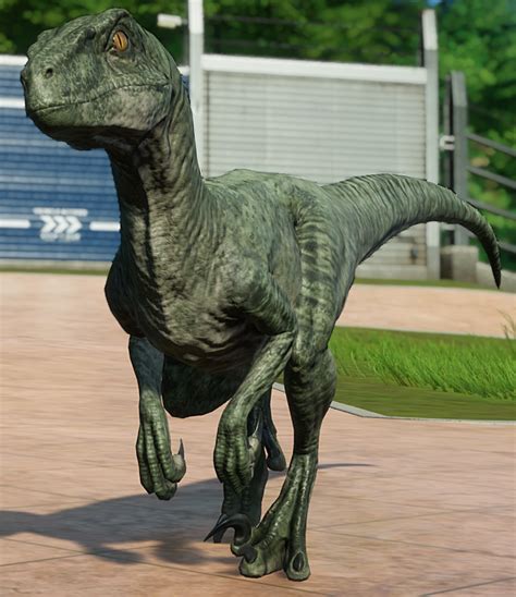Velociraptor Jurassic World Evolution Wiki Fandom Powered By Wikia Jurassic Park Trilogy