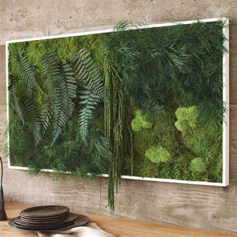 Green frog animal kingdom canvas wall art picture home decor. Fern And Moss Wall Art