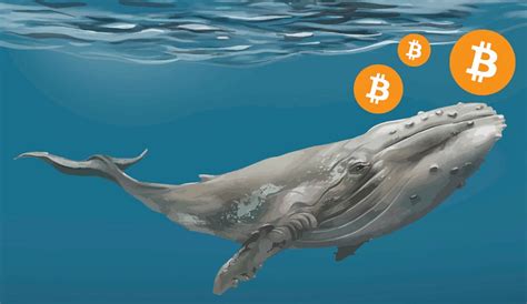 The answer to that is to go to a broker like coinbase that will let you start with $10 to buy that much w. Unknown whale moves $440 million worth of Bitcoin as ...