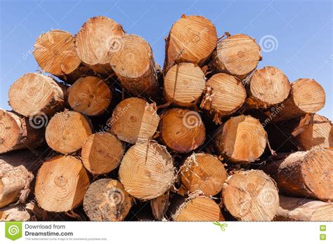 Trees Wood Logs Stack Stock Photo Image Of Agriculture 82356540
