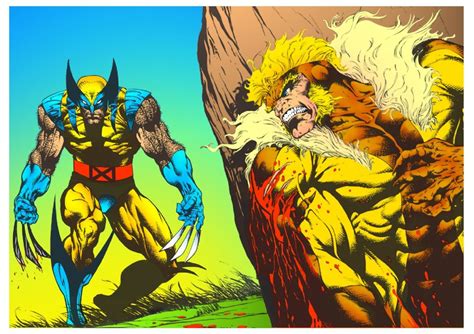 Wolverine Vs Sabretooth In David Davids Collection Of Comics Comic