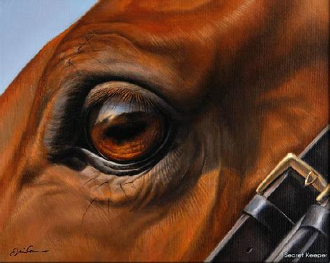 Horse Eye Painting Painting Art Painting Art