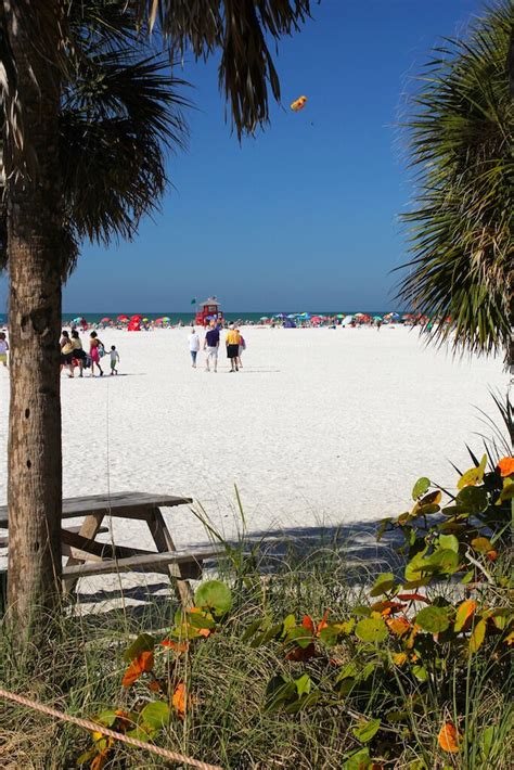 Siesta Beach Siesta Key Sarasota Florida Usa Must Do Visitor Guides