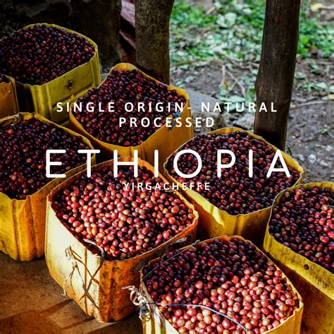 Ethiopia Yirgacheffe Single Origin Ledger Coffee Roasters