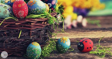 Easter Basket For Men Tips And Examples To Get You Started