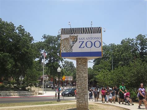 Zoológico De San Antonio En San Antonio Estados Unidos De América