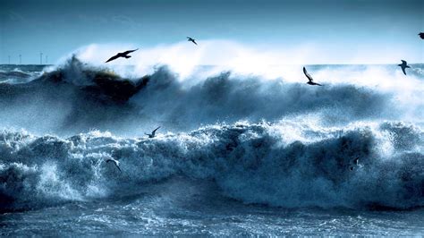 Ocean Storm Sound Thunderstorm With Rain Waves Wind For Sleepstudy
