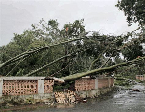 Rain And Wind Batter Odisha Coast 3 Dead