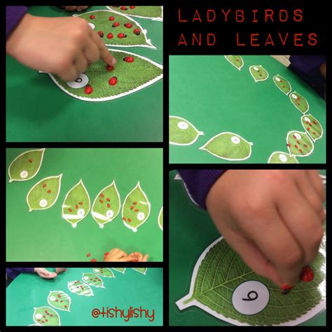 I Made These Numbered Leaves And Set Them Up With Mini Ladybirds