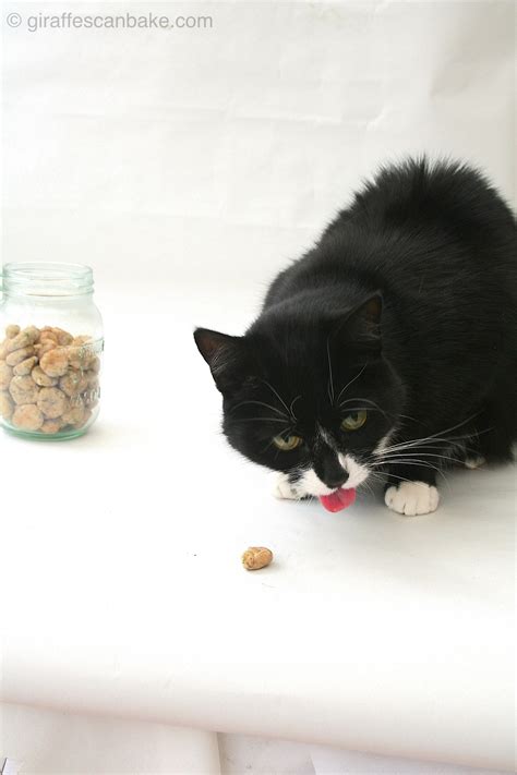 Tuna Catnip Cat Treats Recipe Dandk Organizer