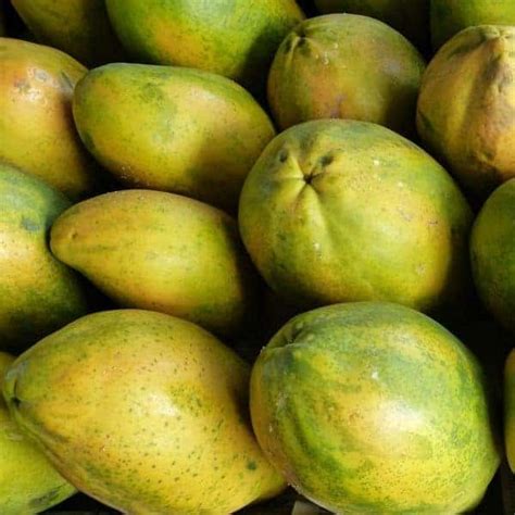 Mini Papayas Eco De La Costa Tropical 1kg