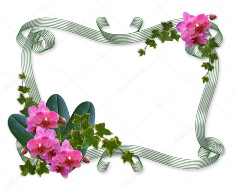 Orchids And Ivy Border Wedding Invite — Stock Photo © Irisangel 2154033