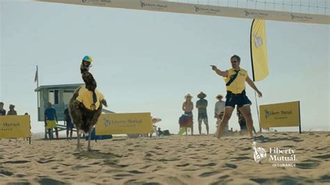 Liberty Mutual Tv Commercial Limu Emu Doug Volleyball Ispot Tv