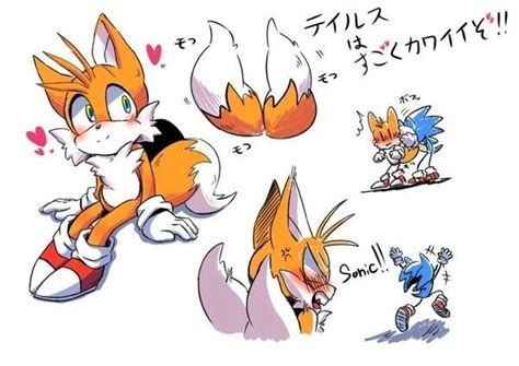 Pin By Jacky S Martínez On Miles Tails Prower Sonic Fan Characters