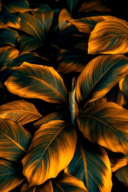 Premium Photo Tropical Leaves Abstract Green Leaves Texture Nature