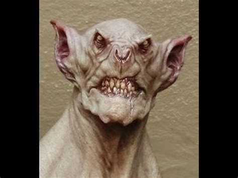 DEMONIC Creature Caught on Camera, Creepy Real Goblin - YouTube