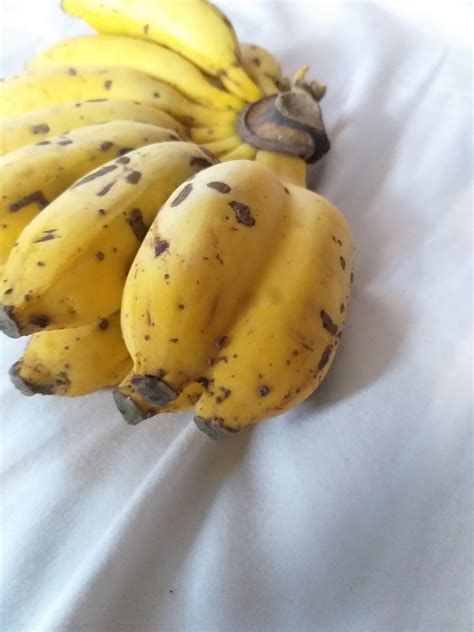 2 Bananas In 1 Peelskin Rmildlyinteresting