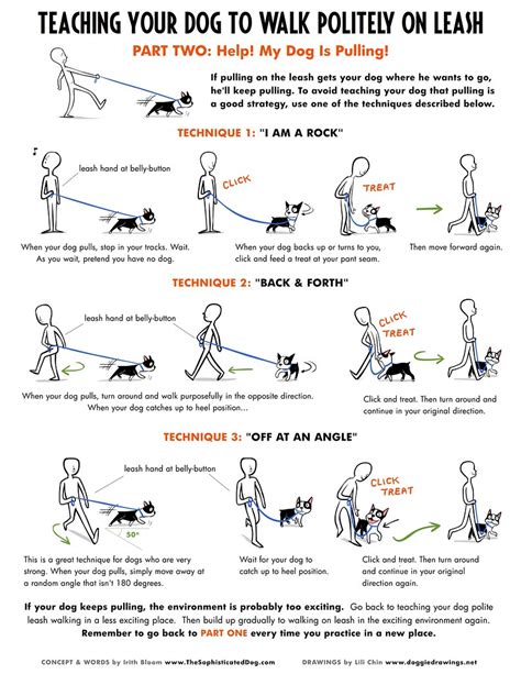 How To Teach A Dog To Walk On A Leash Dog Dwell