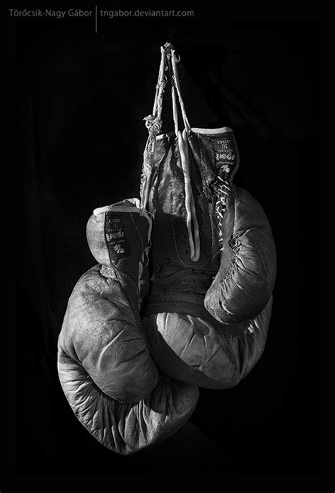 76 Boxing Gloves Wallpaper On Wallpapersafari