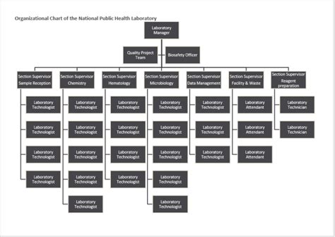 Organogram Templates 11 Free Printable Templates