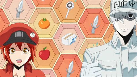 Cells At Work Season 2 Latest Updates Characters Plot Release And