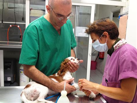 Hormis les hôpitaux, qui sont surtout réservé. Covid-19 : organisation des dispensaires de la Fondation ...