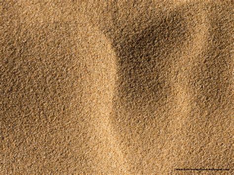 Soft Sand Texture Picture Beach Background 1600x1200 Pixels