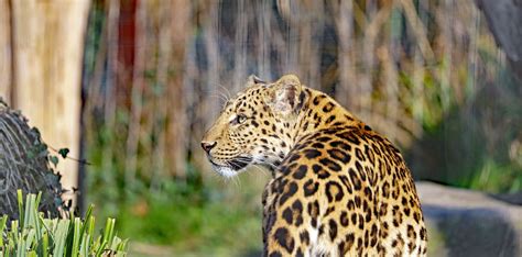Hochwertige möbel für terasse, balkon und garten u. Karlsruher Zoo plant die Wiedereröffnung - Termin ungewiss ...